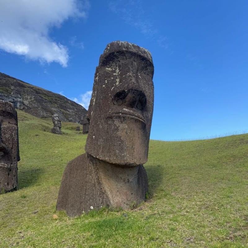A large moai statue standing on a grassy hillside on Easter Island